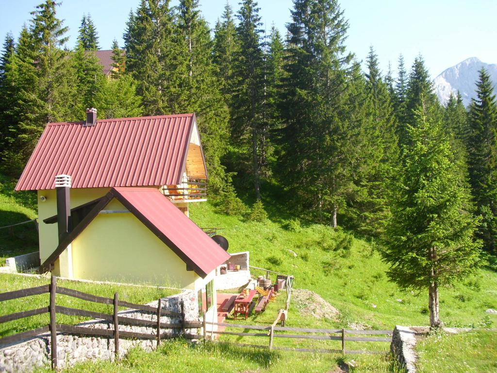 Apartment Vujisic Žabljak Стая снимка