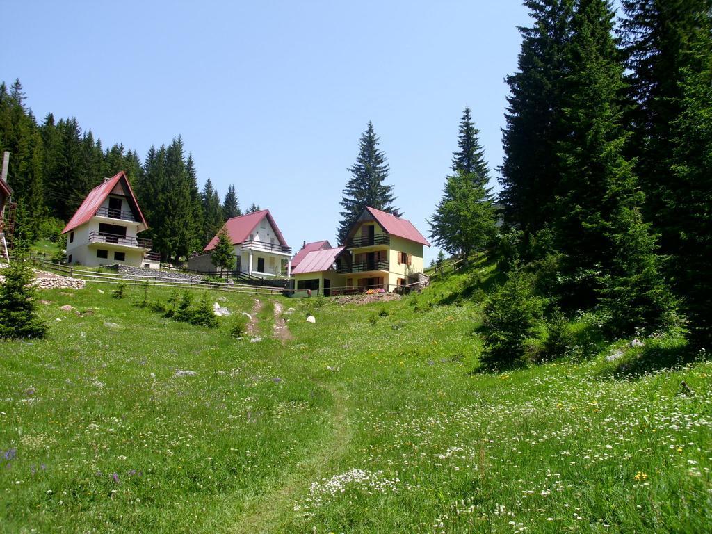 Apartment Vujisic Žabljak Стая снимка
