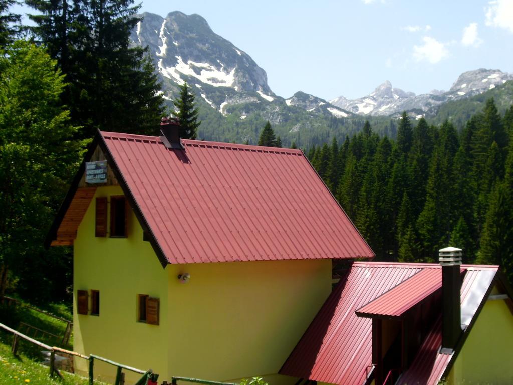 Apartment Vujisic Žabljak Стая снимка