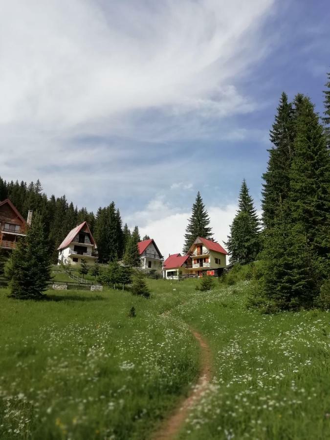 Apartment Vujisic Žabljak Екстериор снимка